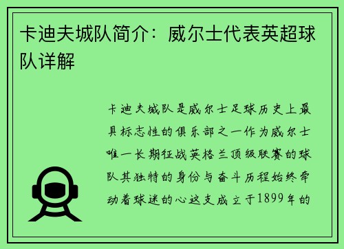 卡迪夫城队简介：威尔士代表英超球队详解